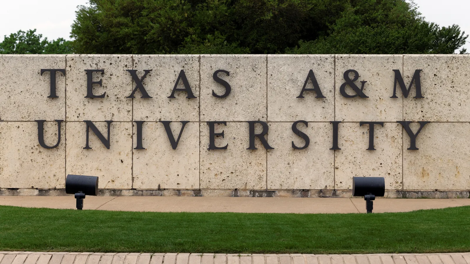 AAUP sues Texas A&M System over teaching limits on race and gender