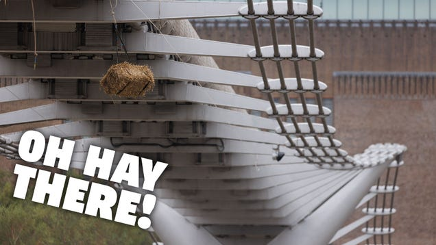 Centuries-Old Law Requires British Bridge Workers To Hang Hay Bales From Worksites