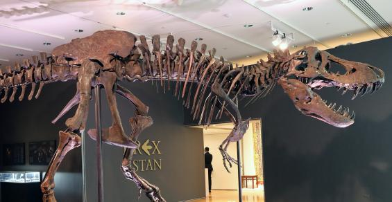 Why Collect Ferraris When You Can Own a T. Rex?