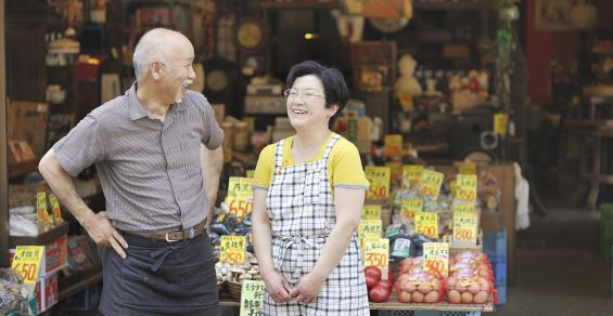 A Practitioner’s Guide to Family Cohesion