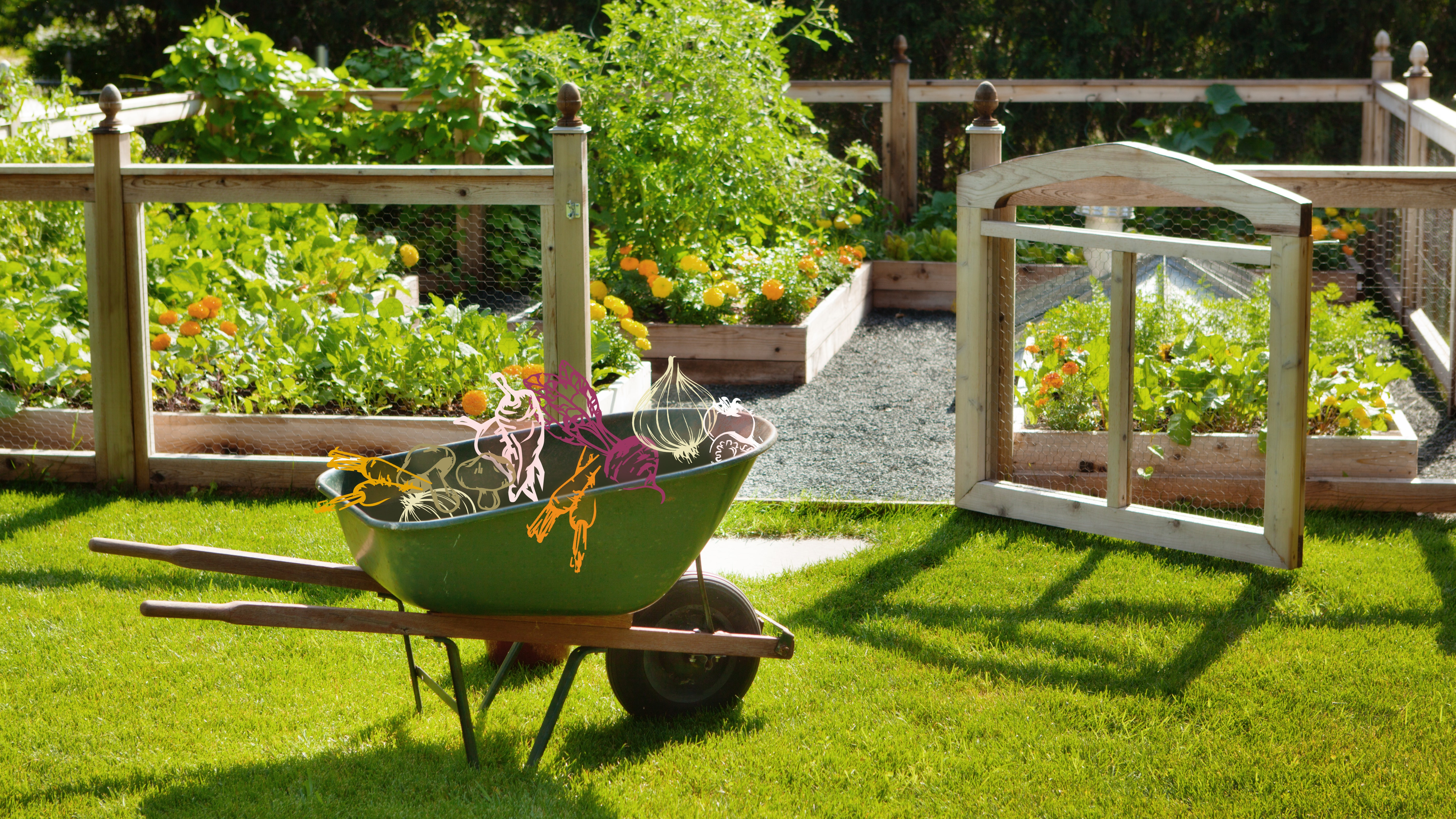 16 Backyard Vegetable Garden Ideas for Beginners