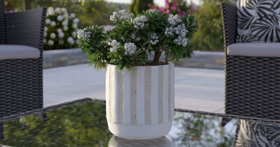 Up to 50% Off Planters on Lowes.com | Styles from $6.98 Shipped