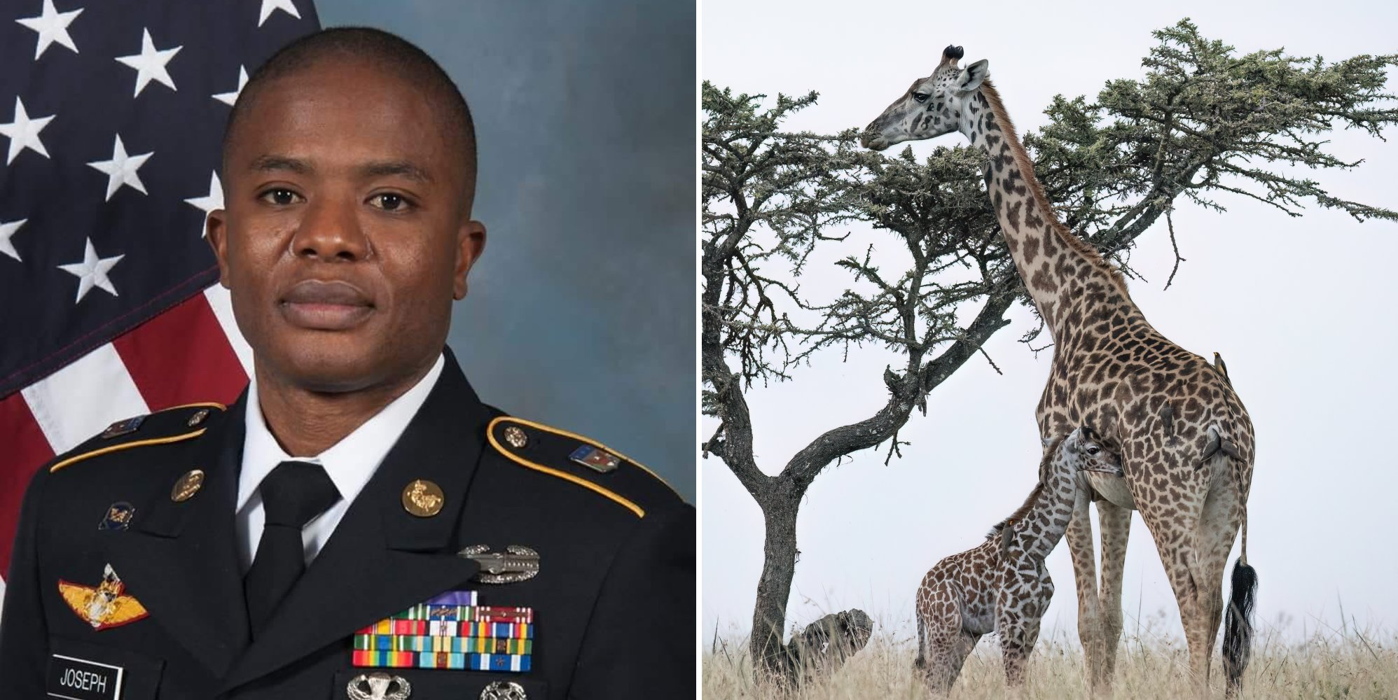 Florida Republican candidate claims giraffes prove everyone is ‘born straight’
