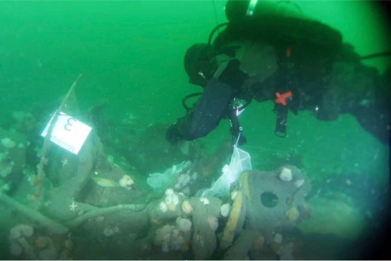 Sunken WWI and WWII Ships and Subs Are Leaking TNT Pollution Into the Ocean