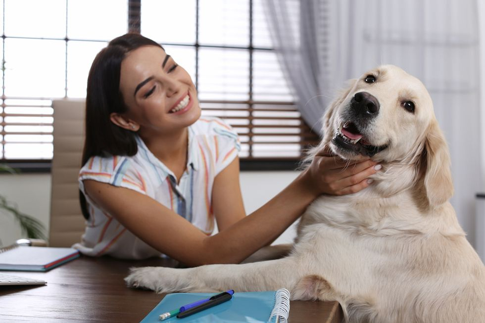 5 Benefits Of Having A Pet-Friendly Office