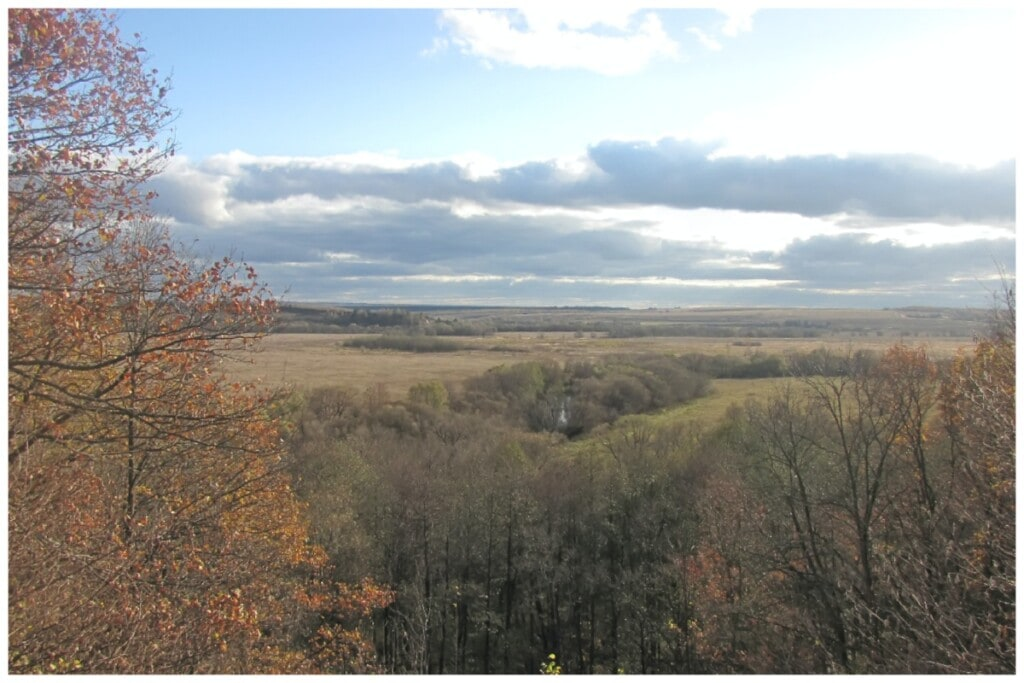 11 Must-Try Restaurants in Urbana, MD: Where the Urbana Locals Eat