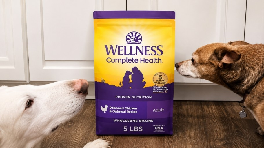 Wellness Dry Dog Food 5lb Bag Only $5.99 Shipped w/ Stackable Amazon Coupons