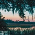 Compass expands in Carolinas with team additions