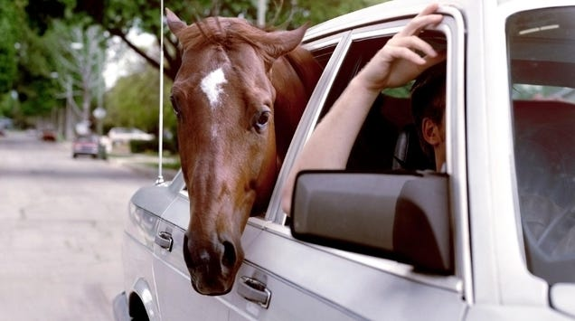 What's The Dumbest Car Myth?