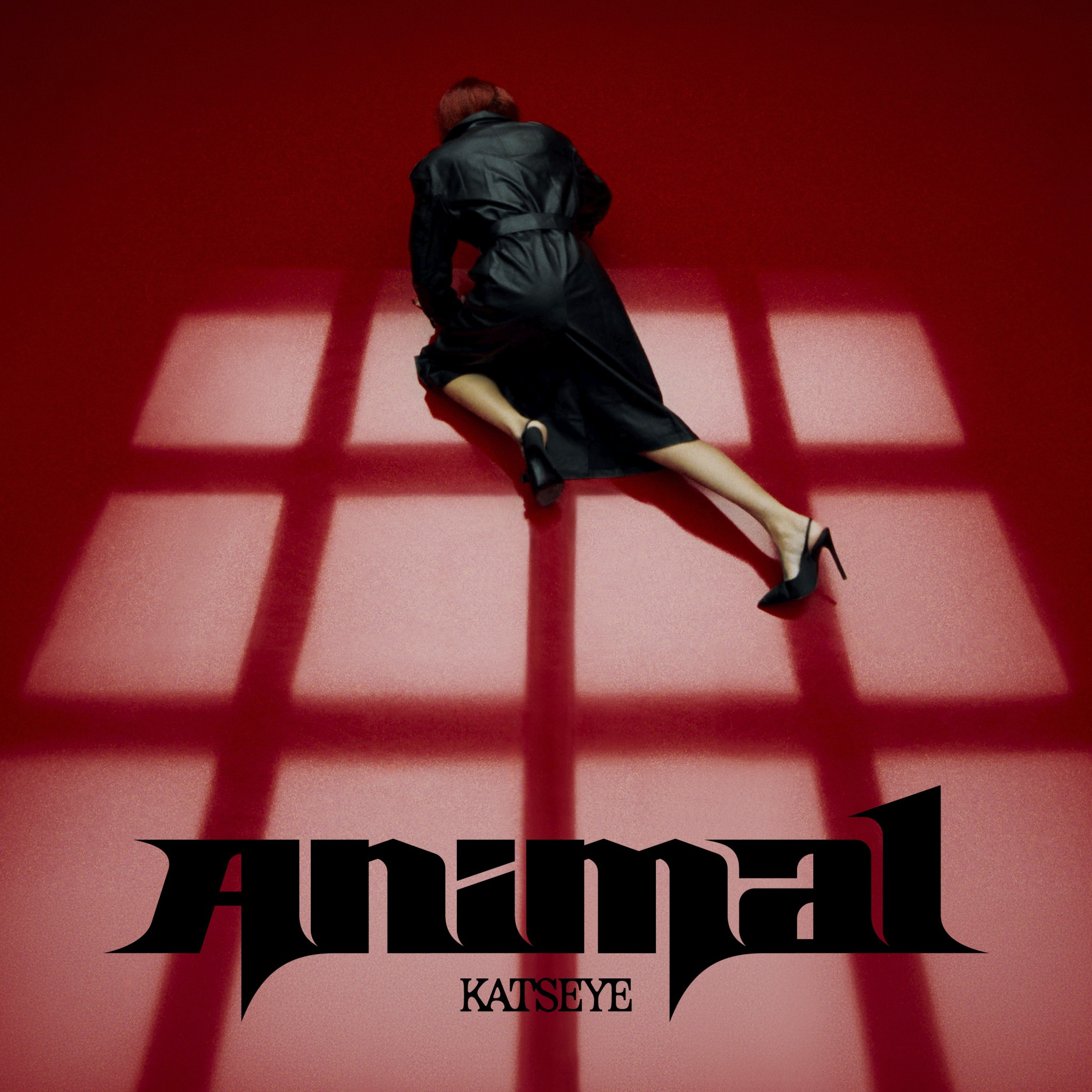 Katseye’s new single ‘Animal’ gives fans what they’ve been begging for