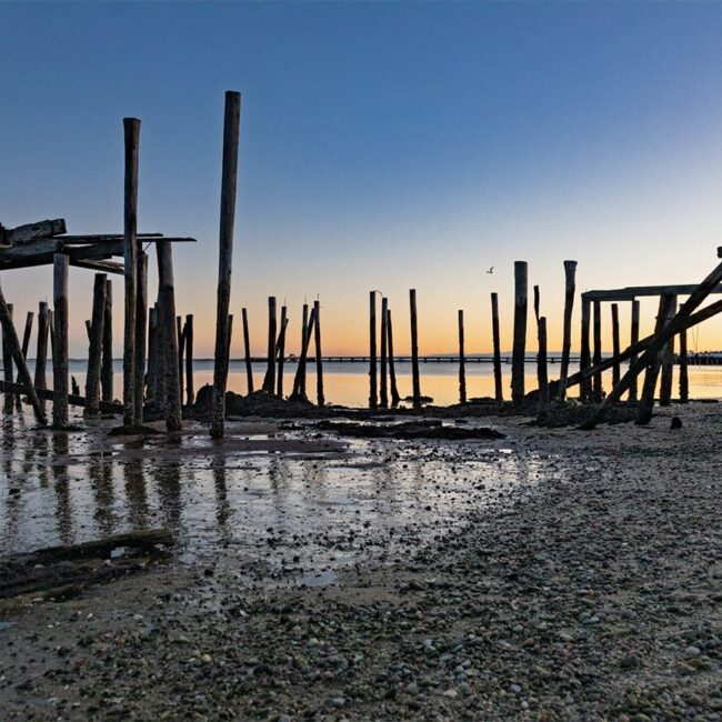 Deb Perry : Whispers of the Wharf At the edge of land and sea  : new work @ The Commons, Provincetown