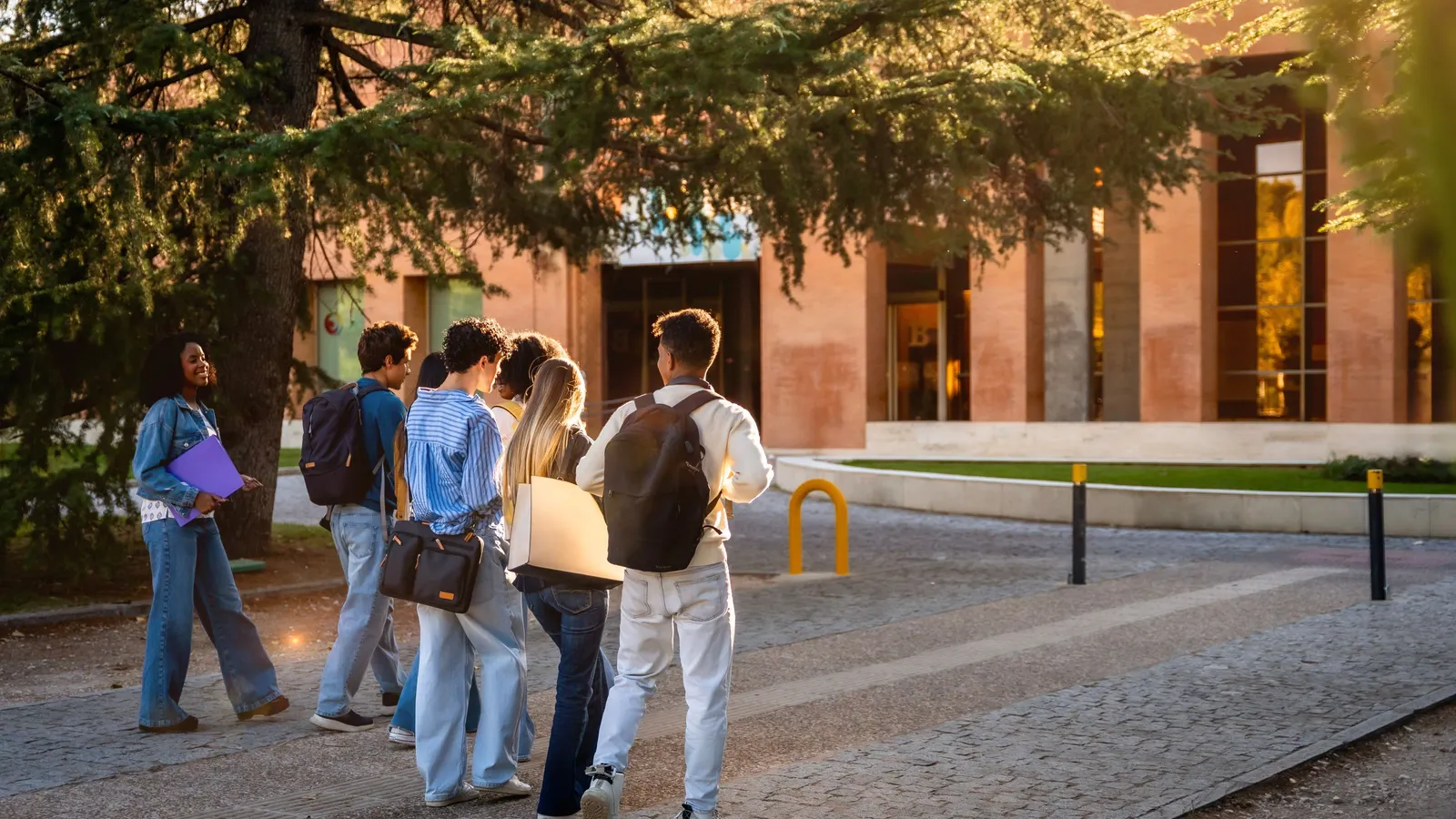 International applicant numbers tumble on Common App