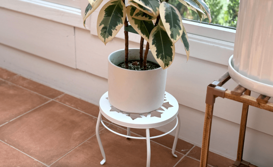 Collin’s Fave Plant Stand Dropped in Price – Under $7 on Walmart.com