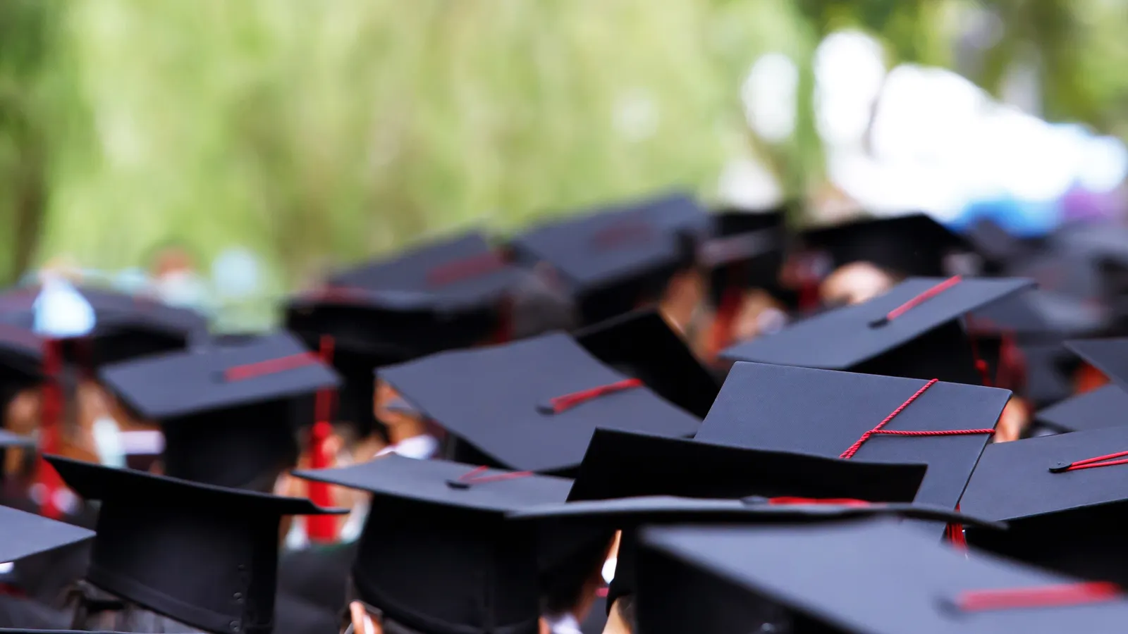 Most 4-year graduates work in same state as their alma mater, report finds