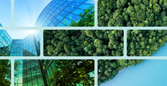 ESG: What to Expect in 2023 and Beyond