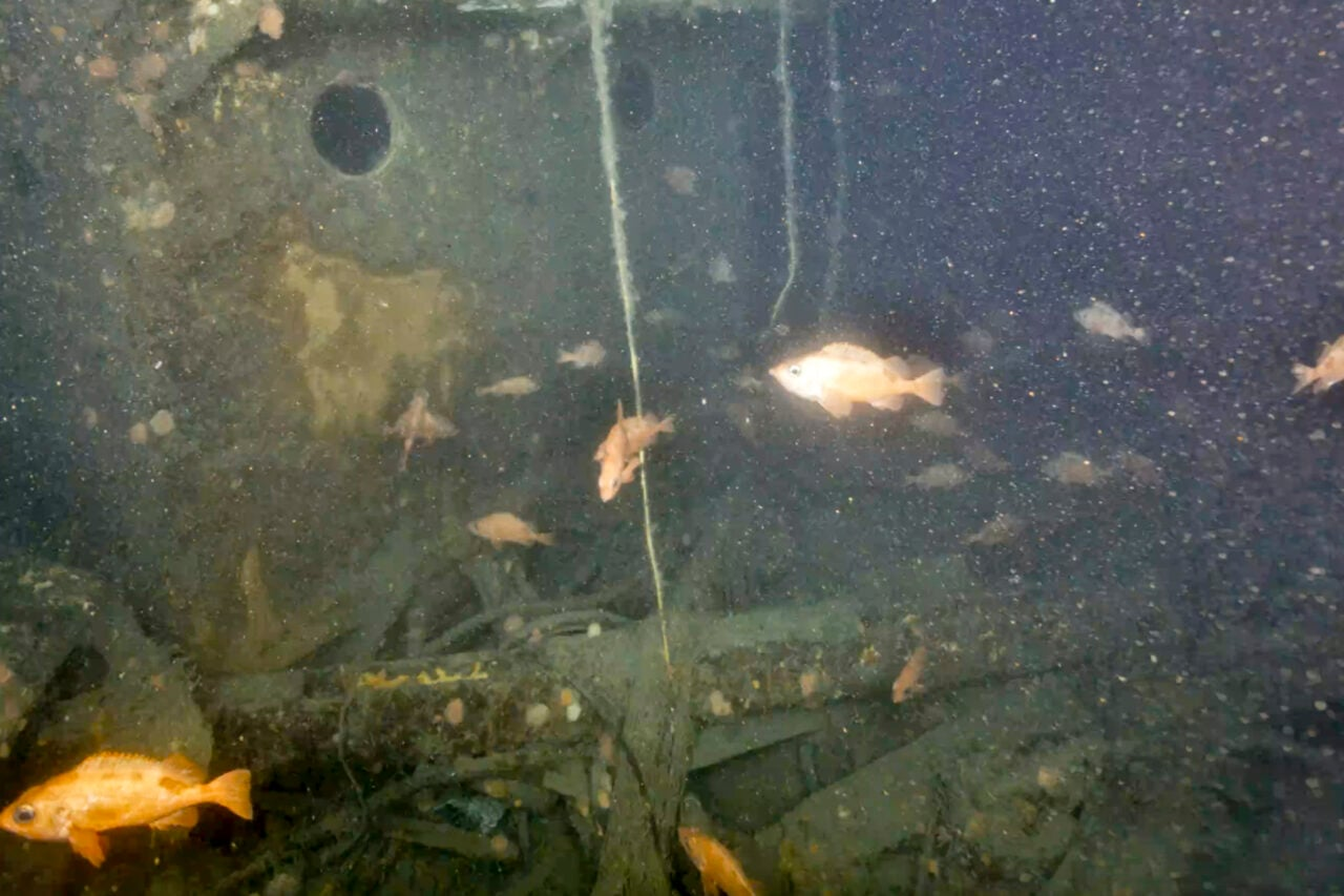 Scientists Reveal the First Images of Ernest Shackleton’s Last Ship