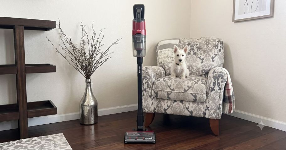 Bissell Cordless Vacuum from $189.99 Shipped on Target.com (Reg. $360)