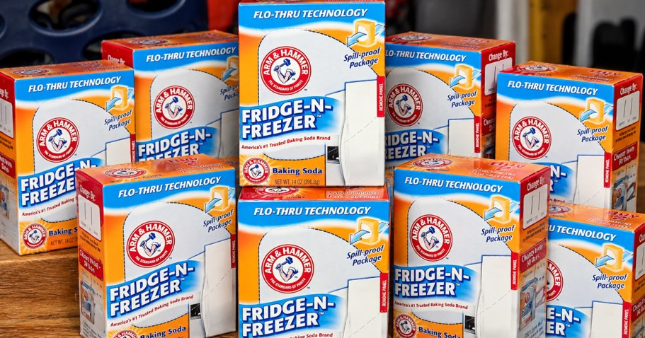 Arm & Hammer Odor Absorber 12-Pack Only $7.71 Shipped on Amazon (Just 64¢ Each)