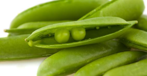 The Close Relationship Between Financial Planning and Estate Planning