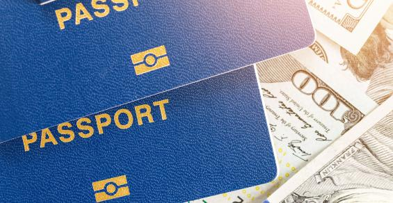 IRS Cracks Down on Net Worth Declarations in Expatriation Filings