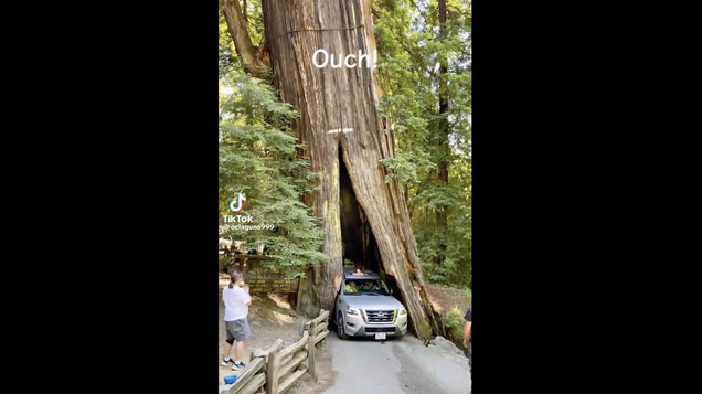 Drive-Through Redwood Becomes Literal Tourist Trap For Nissan Armada [Update]