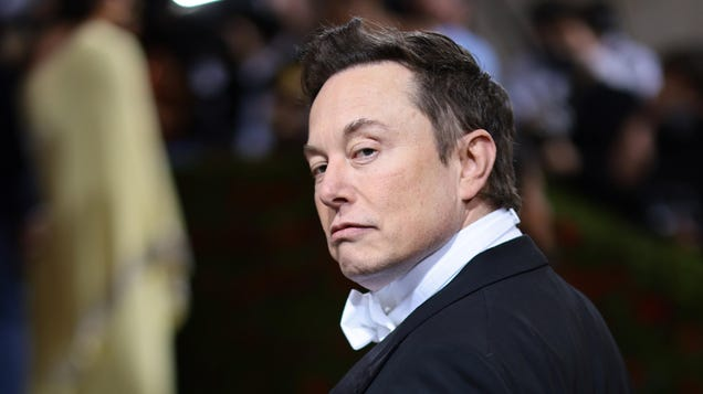 Here's How To Change The Subject To Politics When Someone Tries To Talk About Elon Musk At Thanksgiving