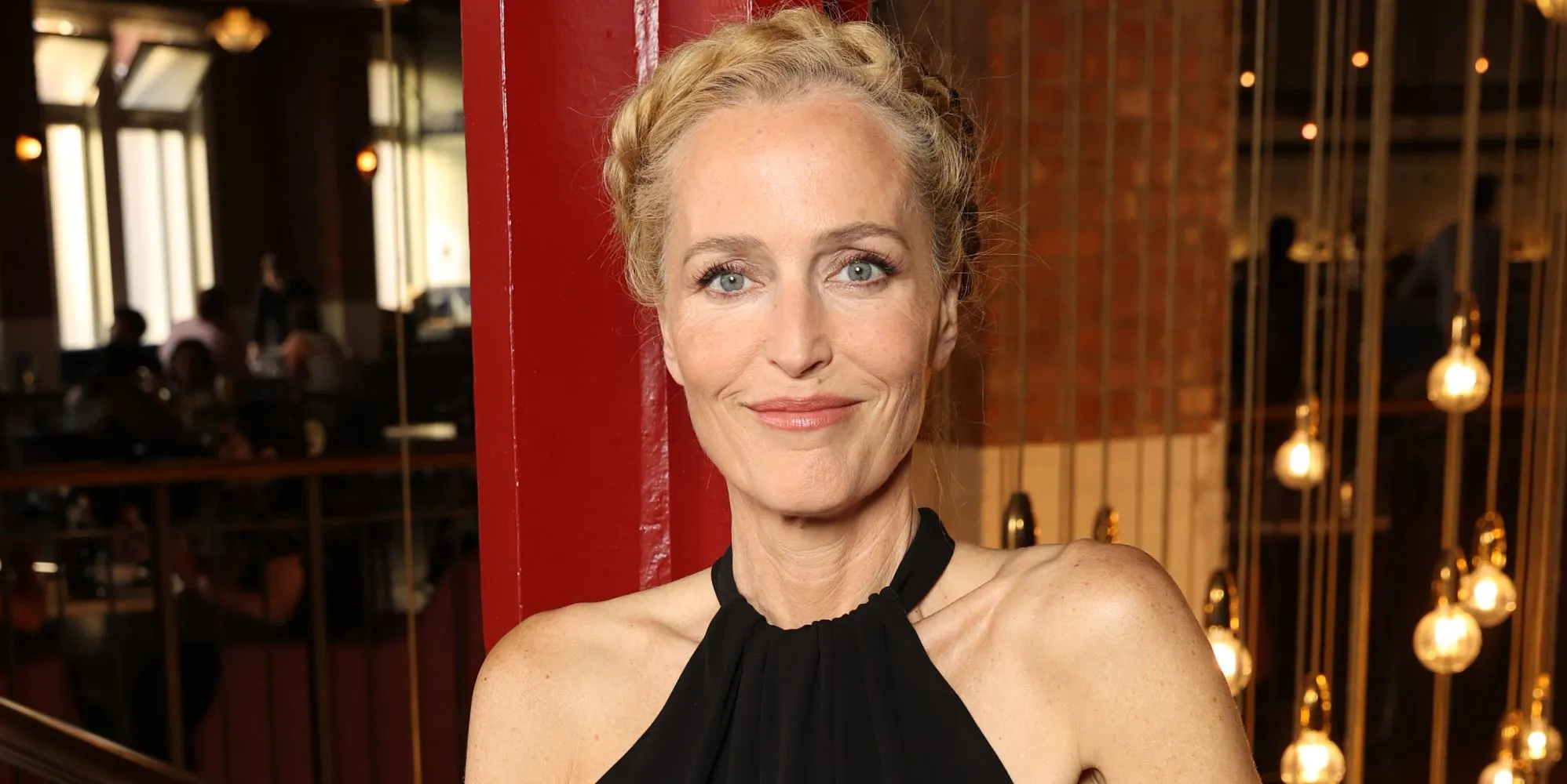 Gillian Anderson was arrested for breaking into school while on crystal meth