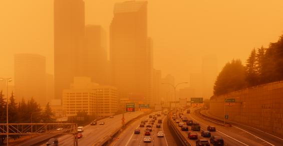 Green Groups Want Offsets Disclosed as Part of SEC’s Climate Rule