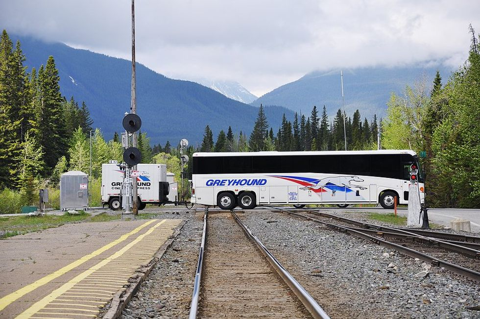 From IT Developer To Strategic Leader: My 25-Year Journey At Greyhound