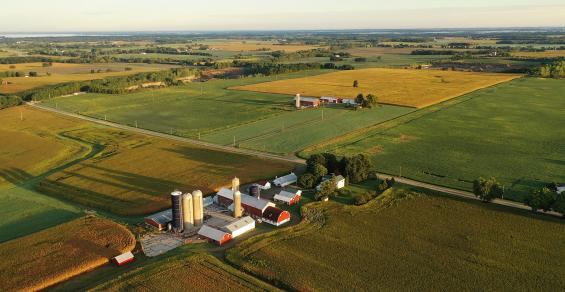 Farmland Draws Investor Interest with Inflation Running Hot