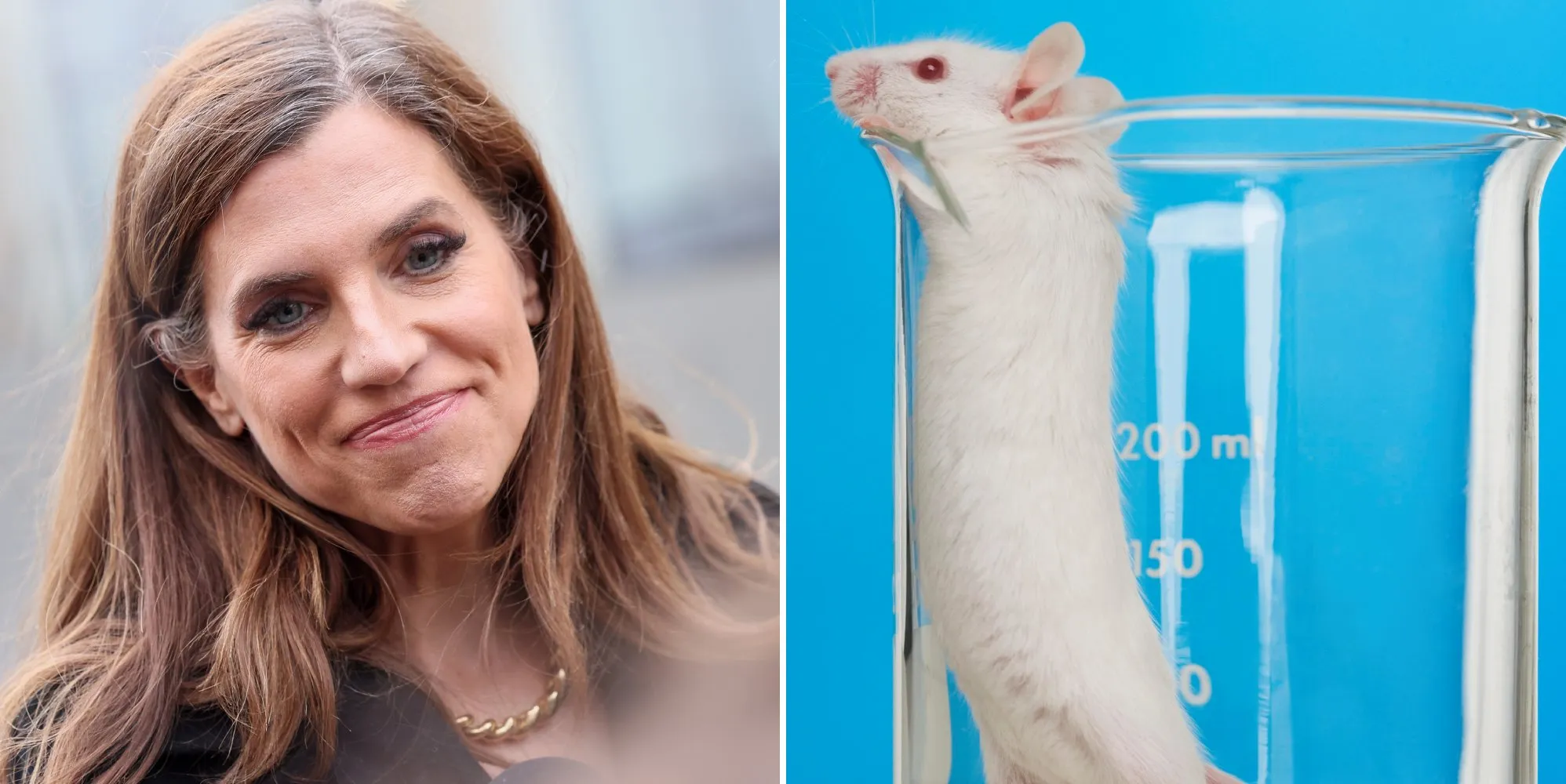Nancy Mace mocked for bill against ‘trans mice experiments’ which are actually for cancer research