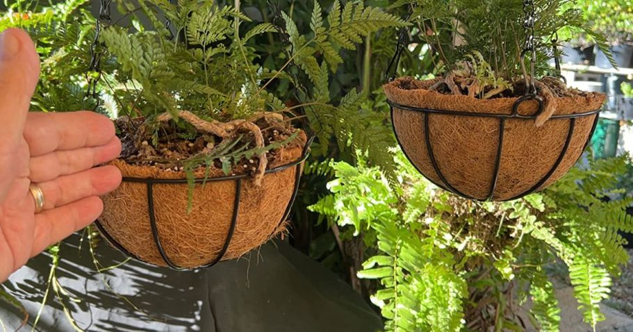Metal Flower Hanging Basket 2-Pack Only $11.99 on Amazon (Reg. $24)