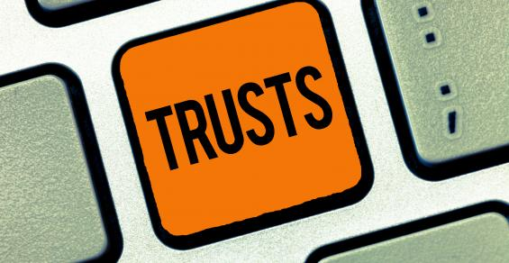 Flexible Trusts to Deal With  Future Uncertainties