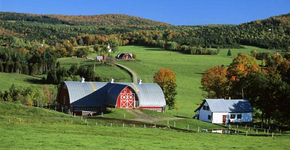 Help Clients Make Smart Land Preservation Decisions