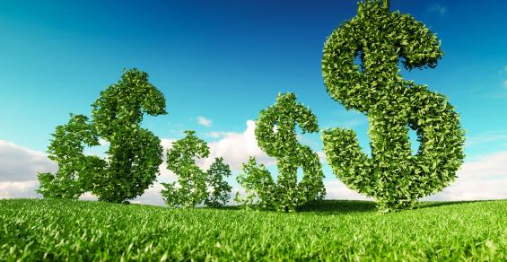 Has ESG Gone Off the Rails?