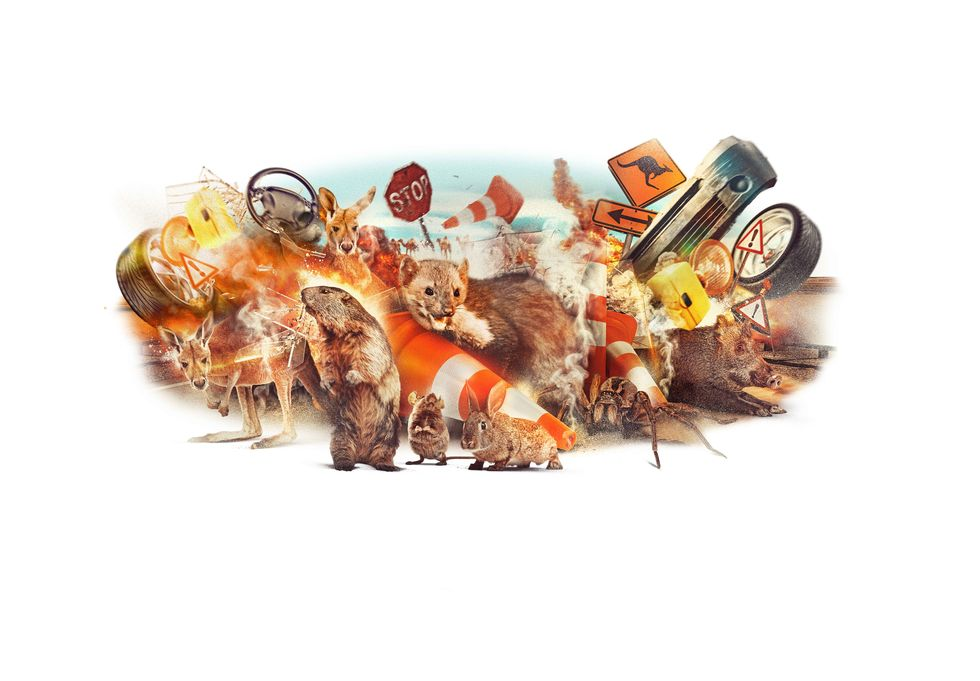 When Animals Attack . . . or Snack on Your Car