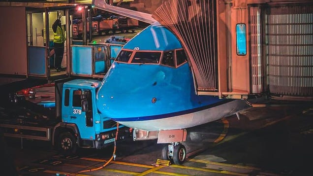 Remember When A Dutch Airline Put 440 Squirrels Into A Giant Shredder?