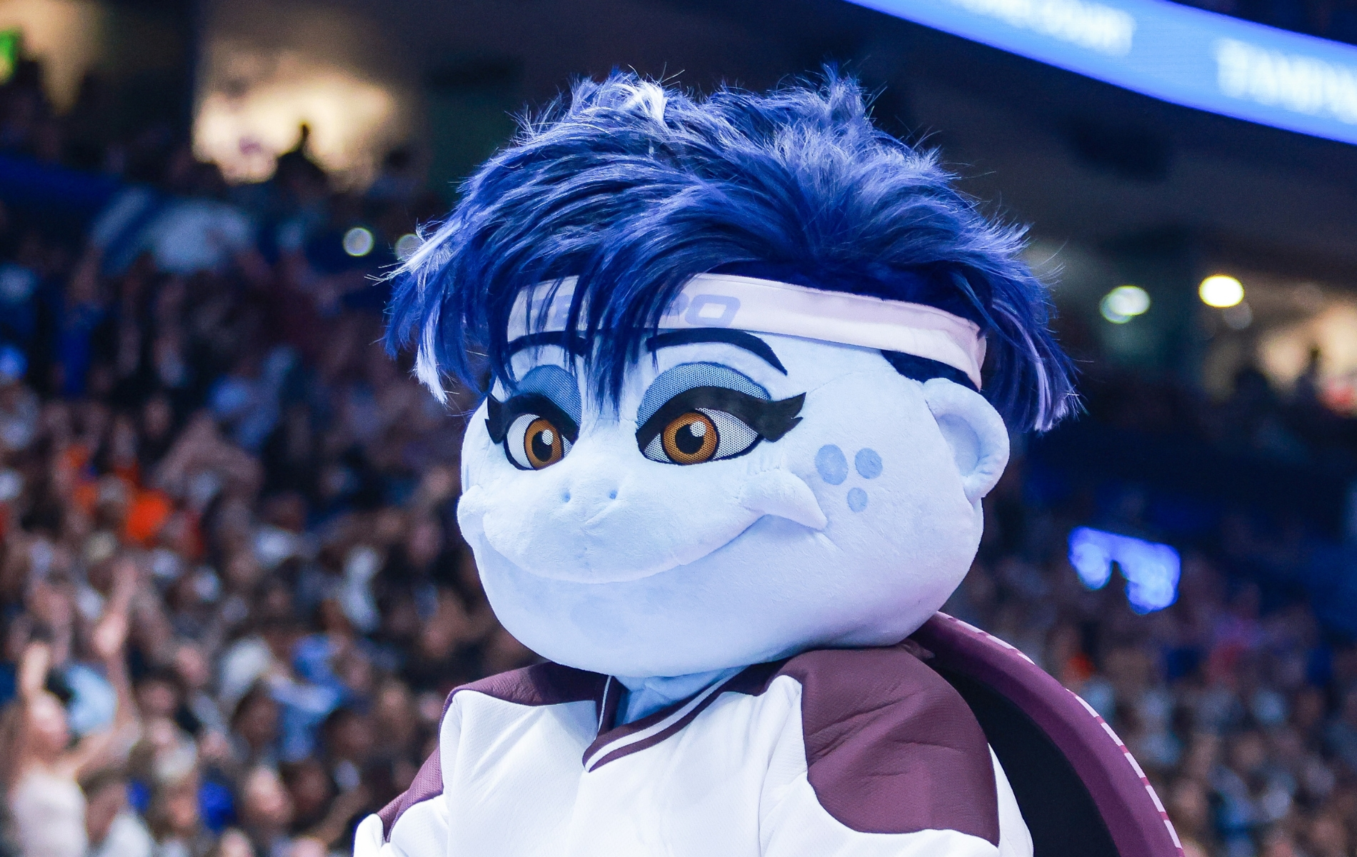 Ex-ESPN anchor slams ‘laughable’ WNBA non-binary mascot amid trans athlete debate