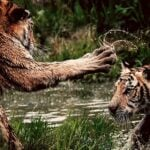 Hanna fights back against homebuyer commission suit