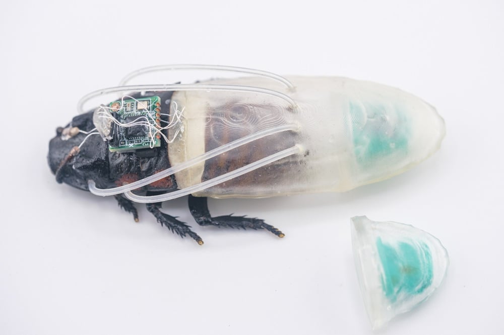Researchers Built a Scuba Suit for Cyborg Cockroaches