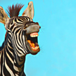 5 ways to keep your sense of humor in the midst of a frustrating market