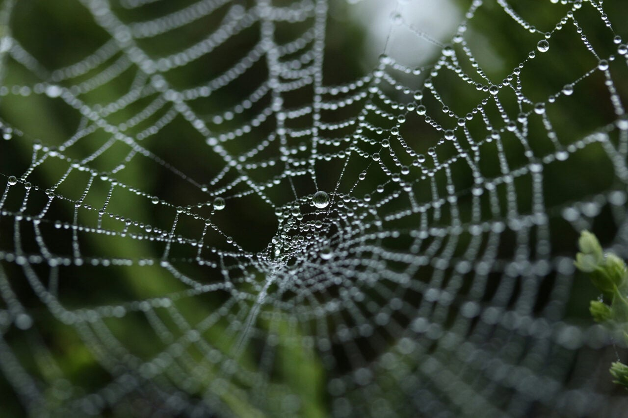 Why Did It Take So Long for the Web to Get Its Own Domain Name?