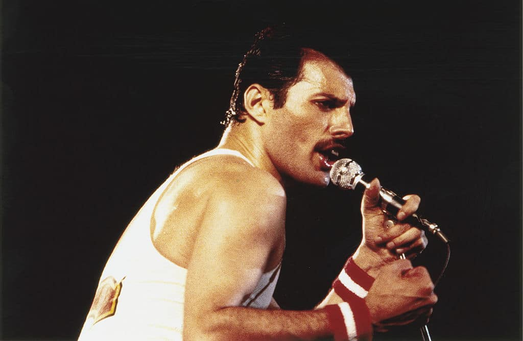 Freddie Mercury’s best friend Mary Austin says it was ‘really difficult’ to inherit his fortune