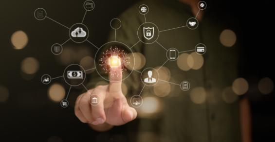 Cracking the Code: Case Studies on Successful Tech Adoption
