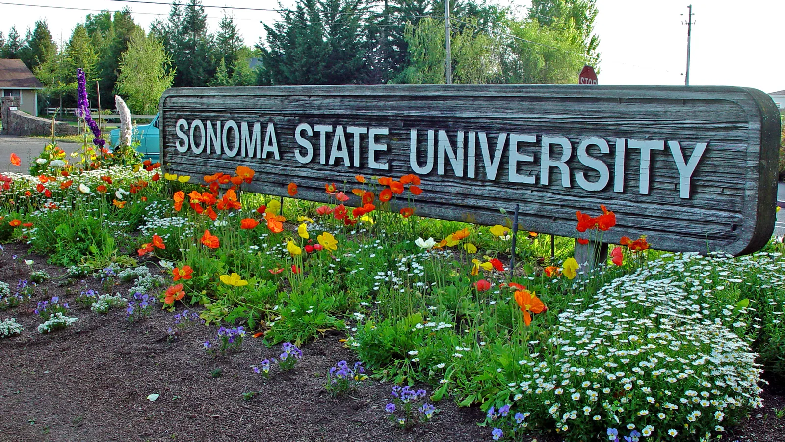 How Sonoma State saved academic programs slated for closure