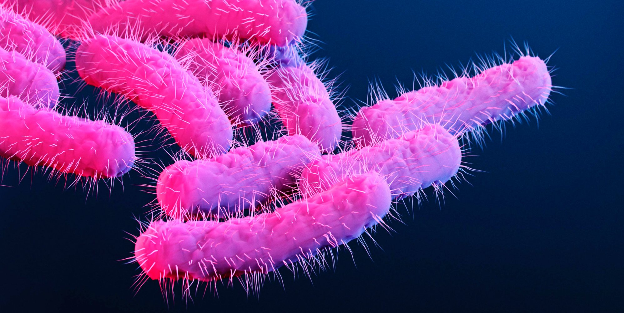Sexually transmitted diarrhoea spreading rapidly among gay men in UK