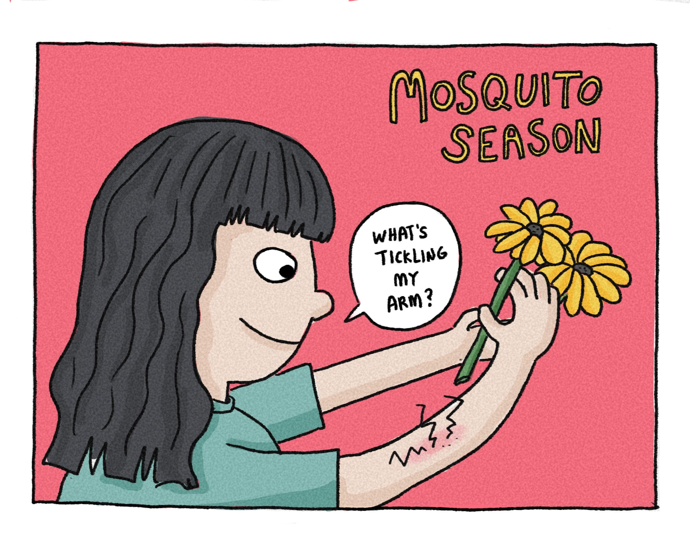 Mosquito Season