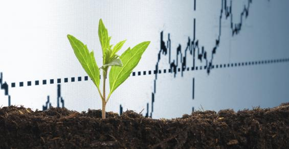 The ESG Market Is Controlled by a Few Big Investors