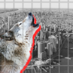 Next booking for ‘Wolf of Airbnb’ grifter Konrad Bicher? Prison 