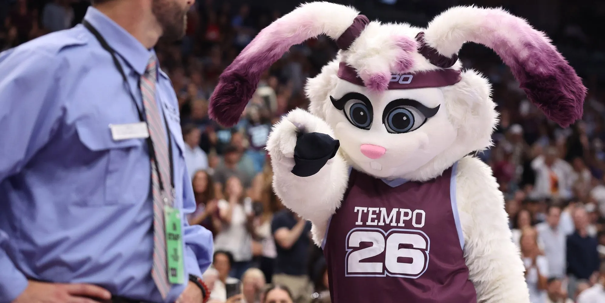 Toronto WNBA team introduces new butch turtle mascot with she/they pronouns